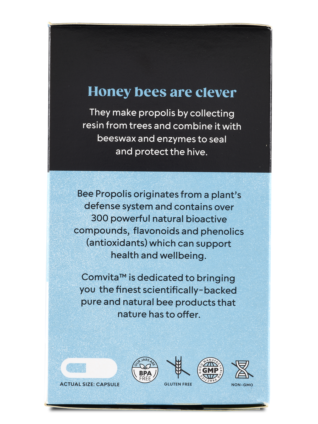 コンビタ イミューンビー™ プロポリス レギュラーストレングス PFL15カプセル 365