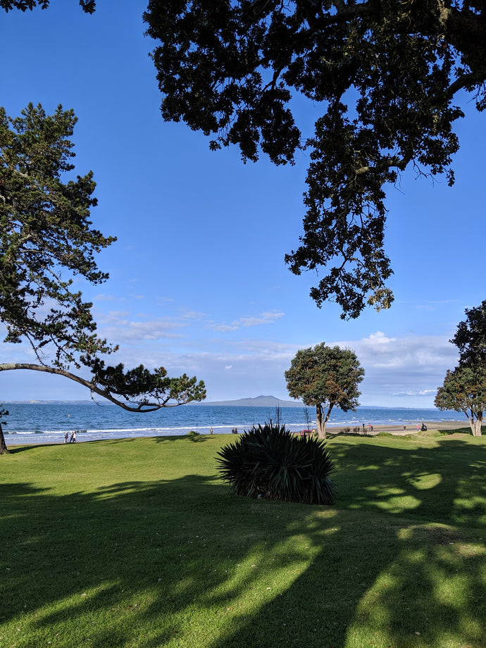 Browns Bay beach and park, with Rangitoto Island across the water