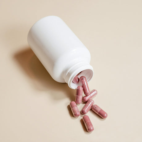 Akkermansia - The Gut Health Supplement Everyone's Talking About Right Now