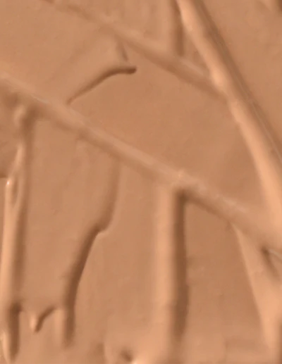 リビングネイチャー ファンデーション ピュアハニー 30ml