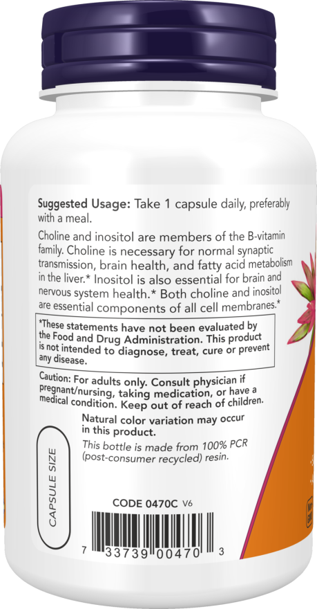 ナウ コリン＆イノシトール ベジカプセル 100 