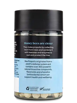 コンビタ イミューンビー™ プロポリス PFL15錠 レギュラーストレングス 365錠