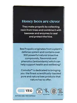 コンビタ イミューンビー™ プロポリス レギュラーストレングス PFL15 ベジカプセル 90粒